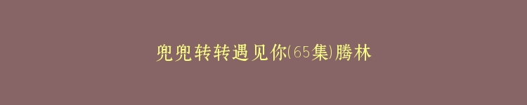 兜兜转转遇见你（65集）腾林