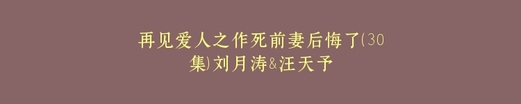 再见爱人之作死前妻后悔了（30集）刘月涛&汪天予