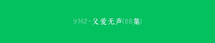 9762-父爱无声（88集）