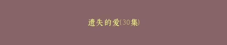 遗失的爱（30集）