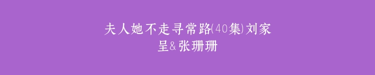 夫人她不走寻常路（40集）刘家呈＆张珊珊