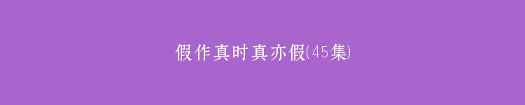 假作真时真亦假（45集）