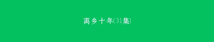 离乡十年（31集）