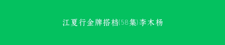 江夏行金牌搭档（58集）李木杨