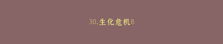 30.生化危机8