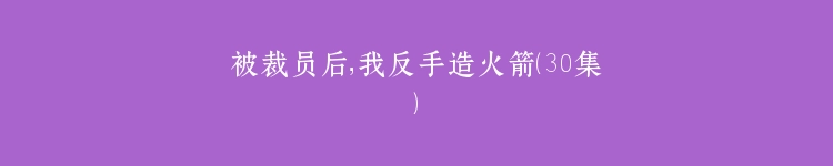 被裁员后，我反手造火箭（30集）
