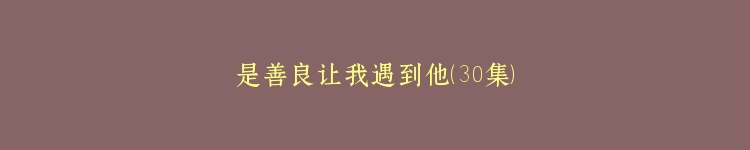 是善良让我遇到他（30集）