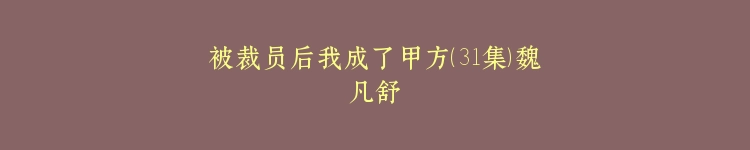 被裁员后我成了甲方（31集）魏凡舒