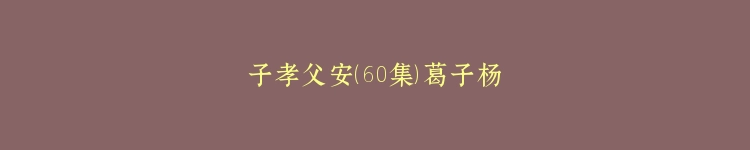 子孝父安（60集）葛子杨