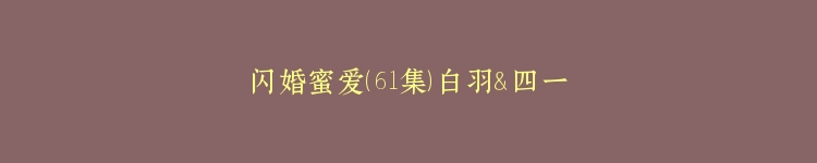 闪婚蜜爱（61集）白羽＆四一