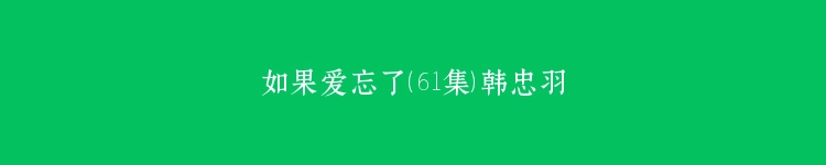 如果爱忘了（61集）韩忠羽