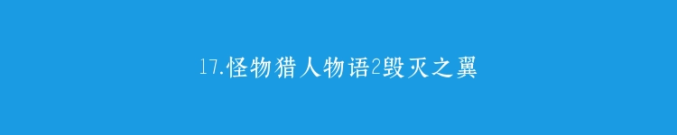 17.怪物猎人物语2毁灭之翼