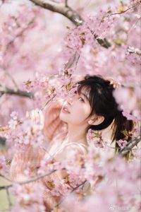 赶上了早樱-IT日志资源网