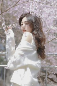 待到春风十里，愿有樱花漫盛世@朴雪莲啊-IT日志资源网