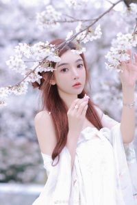 浪漫樱花-IT日志资源网