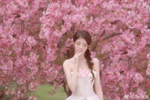 阴天的漫花-IT日志资源网