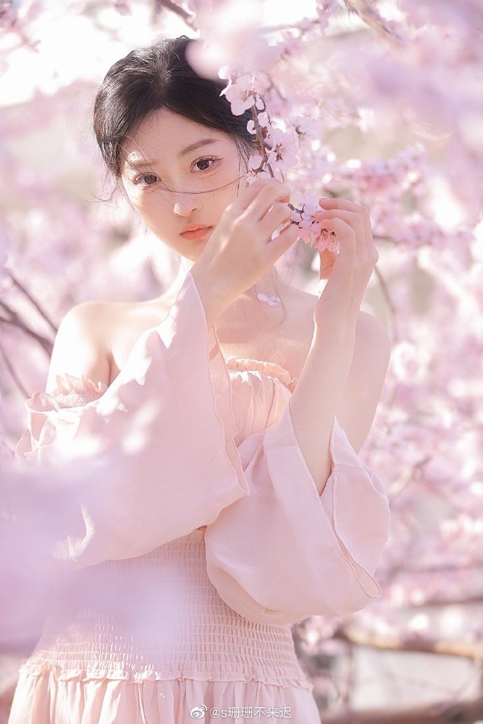 春风拂面花烂漫不负春光与时行